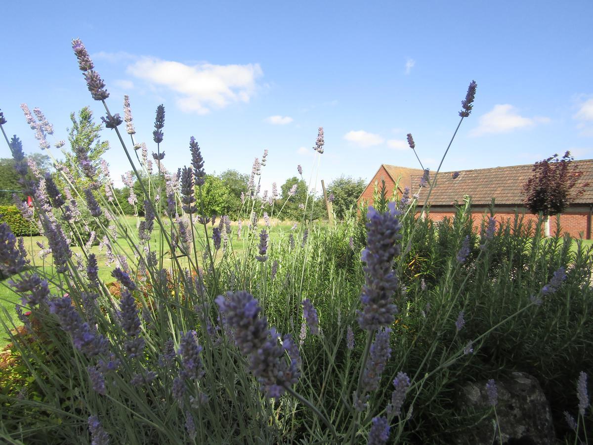 Home Farm Boreham Warminster Exterior foto
